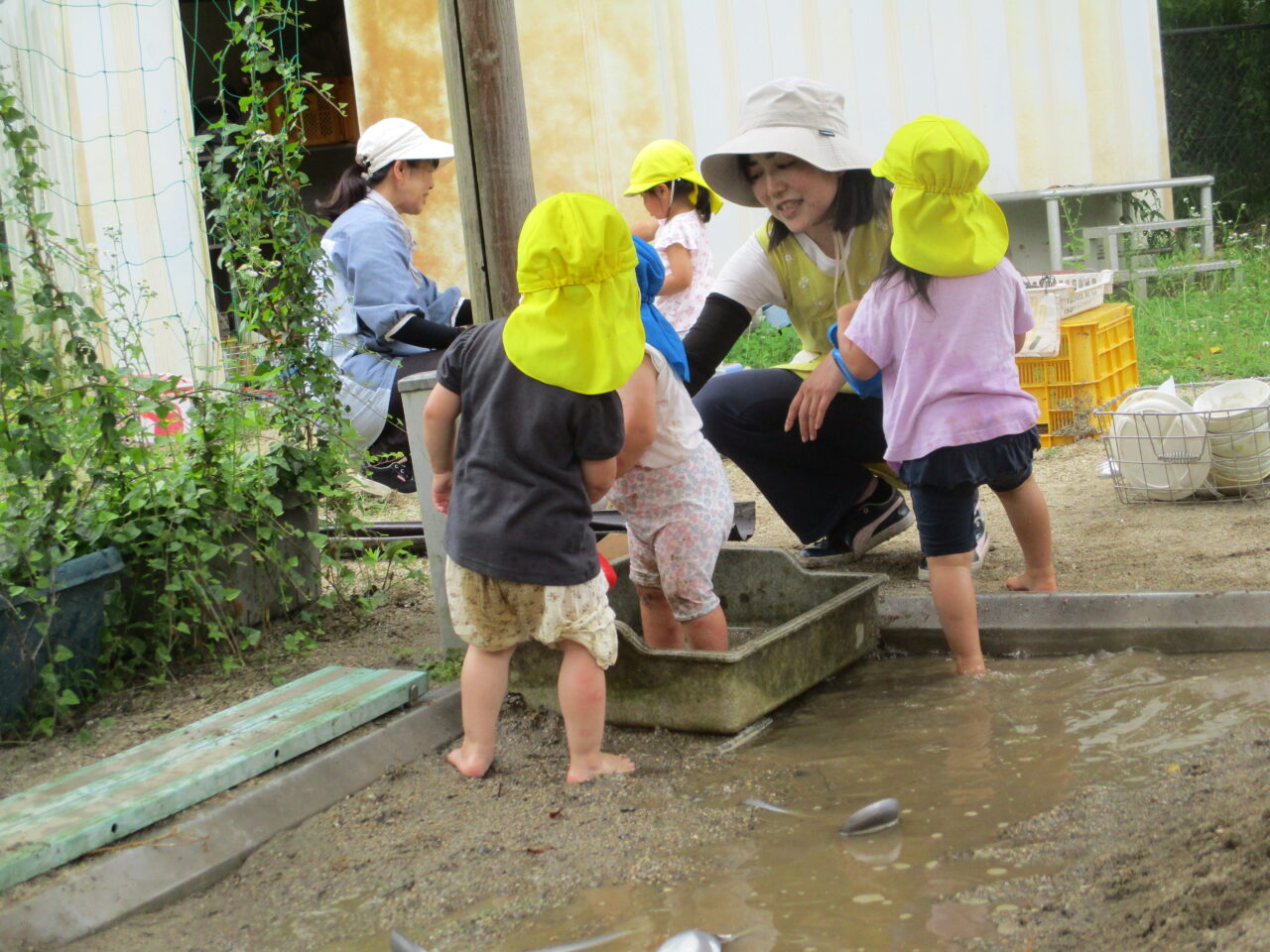 清水こども園のこどもたちの日常の様子の写真です。どろんこ遊びをしています。