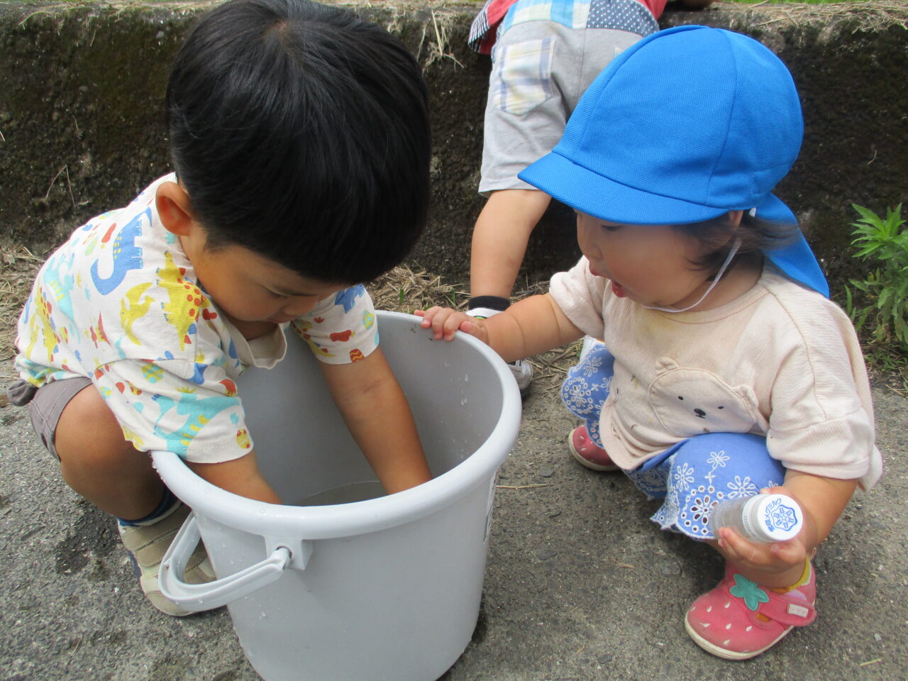 清水こども園のこどもたちの日常の様子の写真です。生き物を見つけて興味津々になっています。