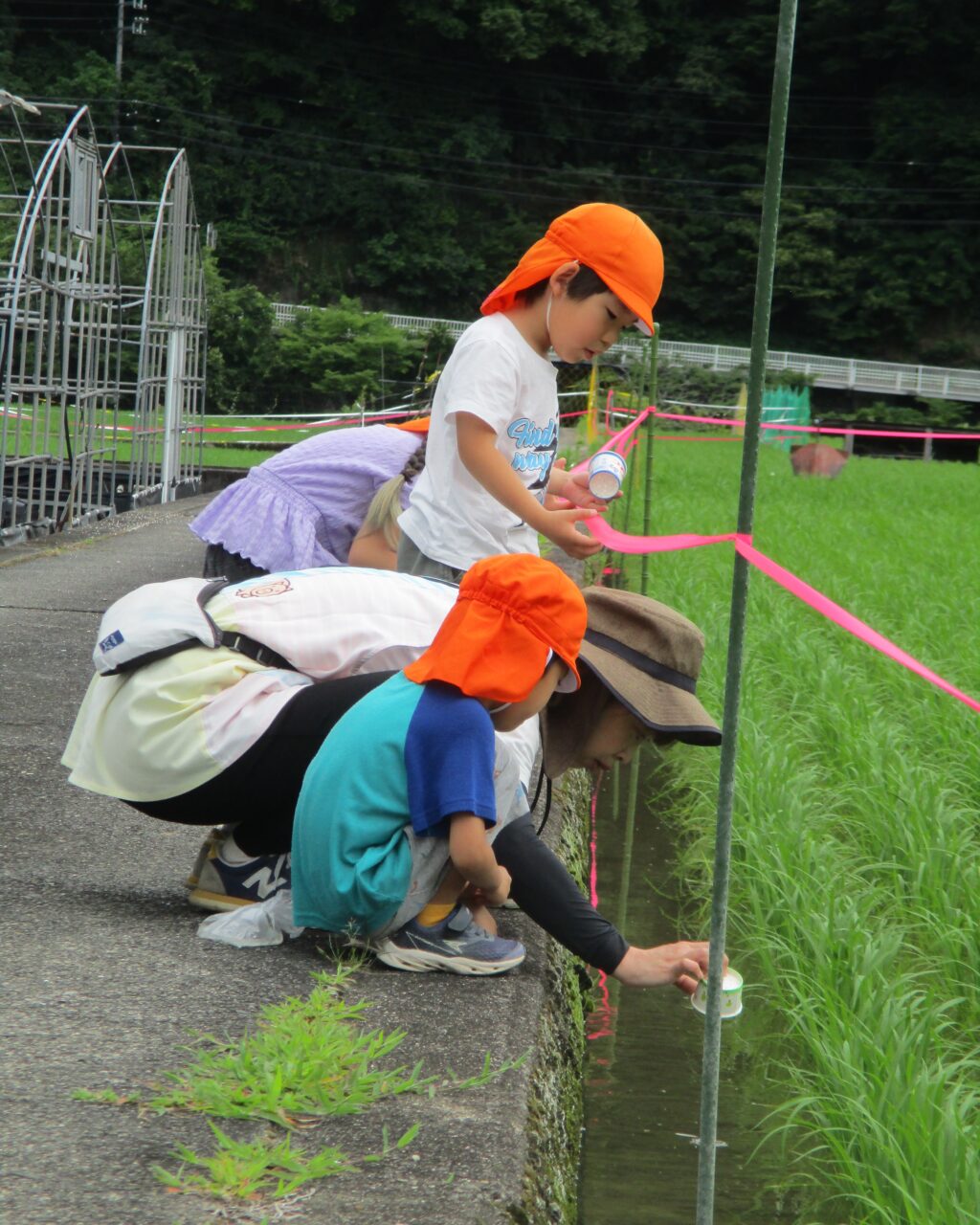 清水こども園散歩の様子の写真です。